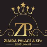 LOGO ZIAIDA_Plan de travail 1